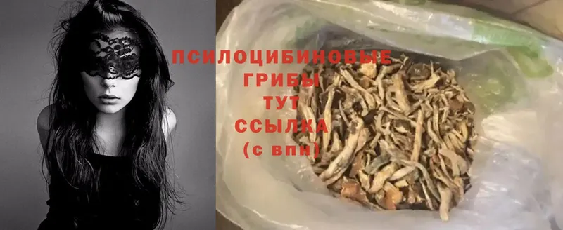 Псилоцибиновые грибы MAGIC MUSHROOMS  Черногорск 